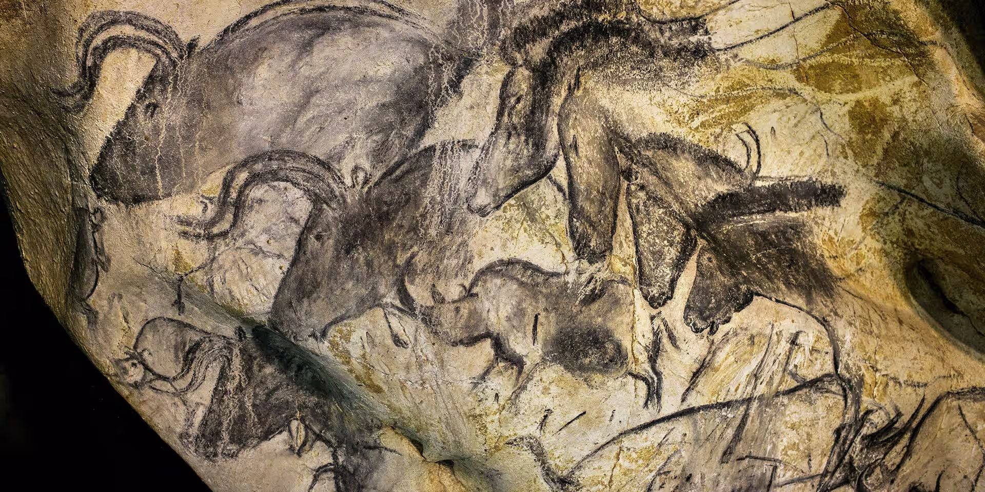 Cave Paintings